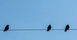 Kurzgutachten Titelbild