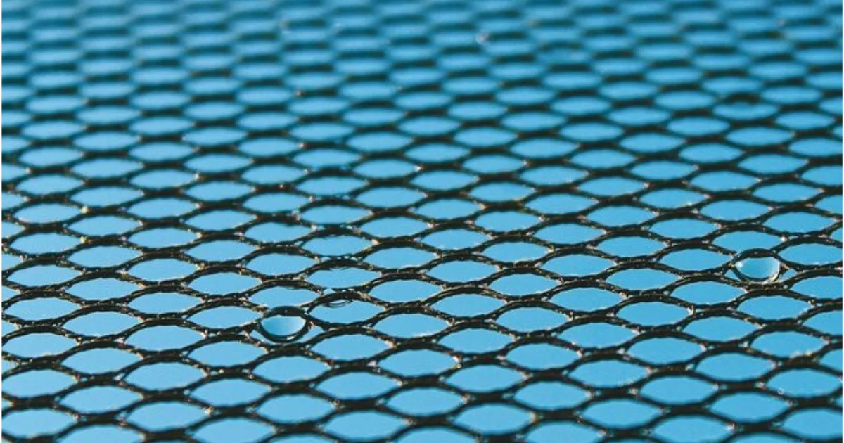 Monopolkommission zu Netzentgelten