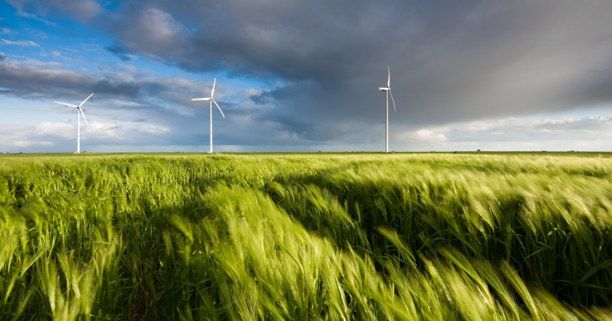 Aufnahme eines Windparks
